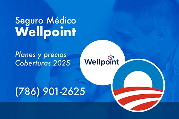 WELLPOINT – Planes 2025